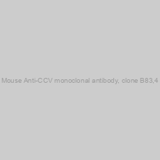 Image of Mouse Anti-CCV monoclonal antibody, clone B83,4